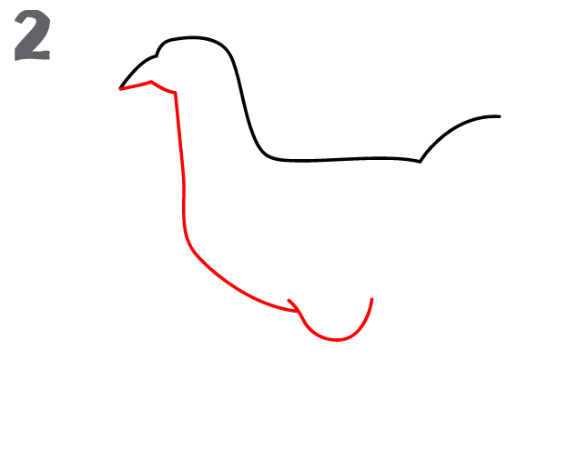 كيف ارسم دجاجة 8