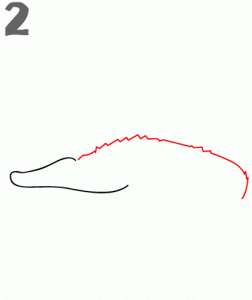 كيف ارسم تمساح 11
