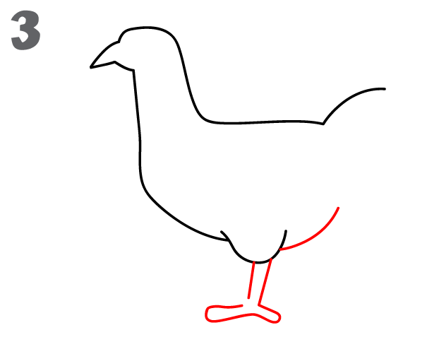 كيف ارسم دجاجة 63