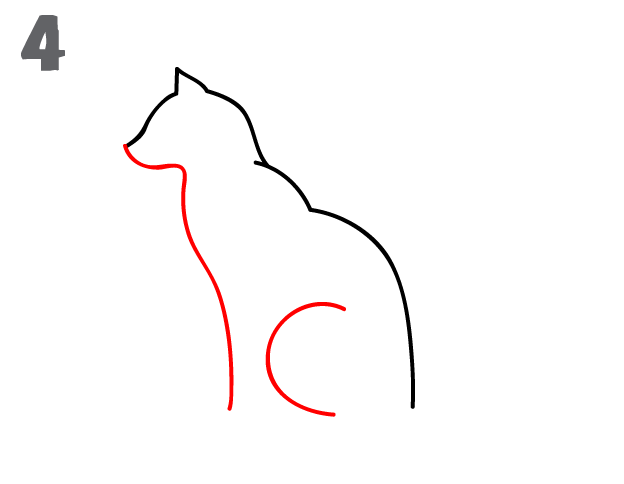 كيف ارسم قطة 5
