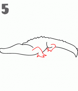كيف ارسم تمساح 6
