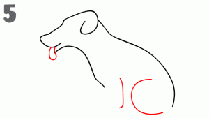 كيف ارسم كلب 13