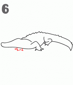 كيف ارسم تمساح 7