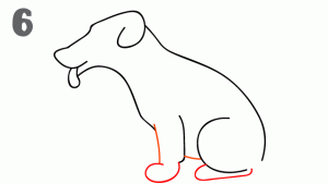 كيف ارسم كلب 14