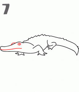 كيف ارسم تمساح 16