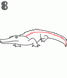 كيف ارسم تمساح 17