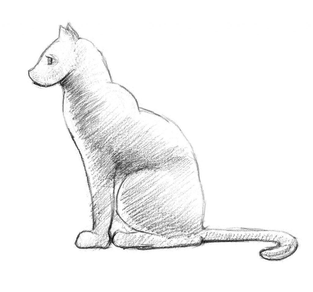 كيف ارسم قطة 9