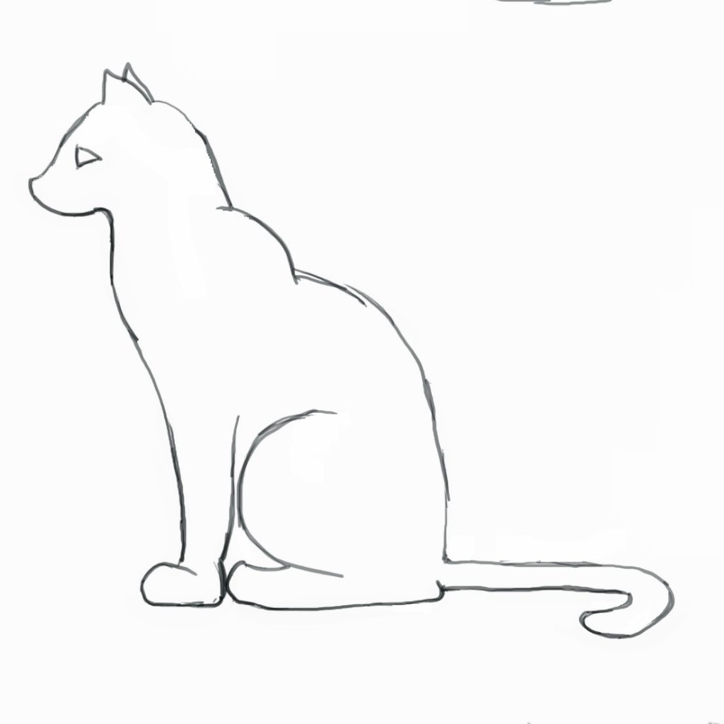كيف ارسم قطة 8