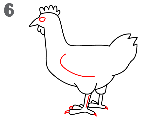 كيف ارسم دجاجة 12