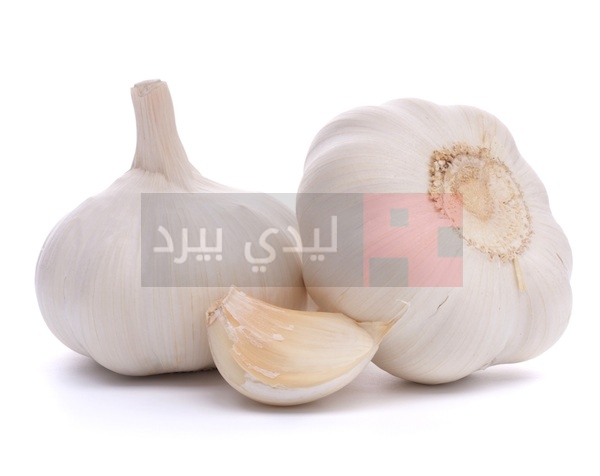 Garlic-2
