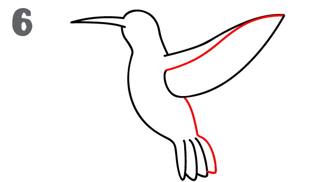 كيف ارسم طائر الطنان - ليدي بيرد