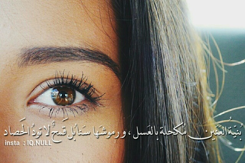 صور شعر حب