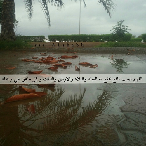 دعاء المطر