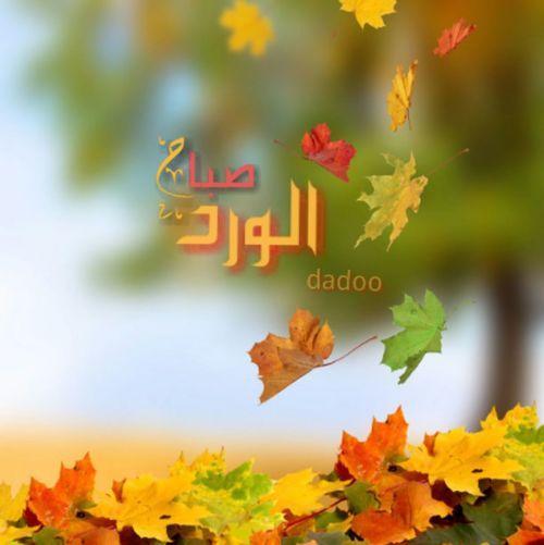 أروع صور صباح الخير