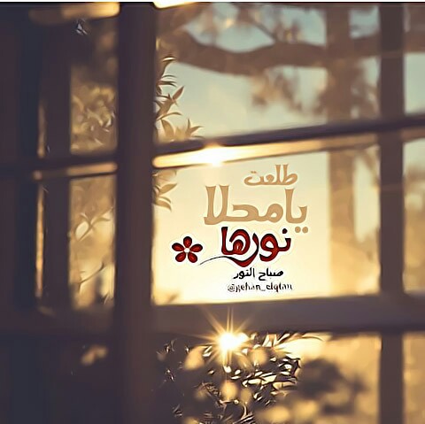 صور شمس الصباح