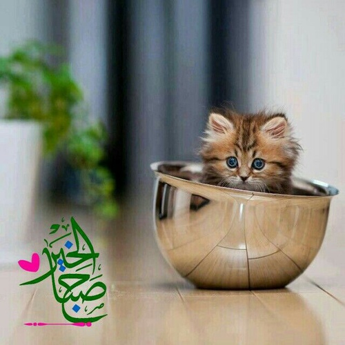 صور صباح الخير جديدة