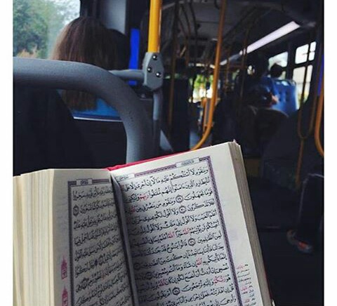 صور القرآن للواتس اب