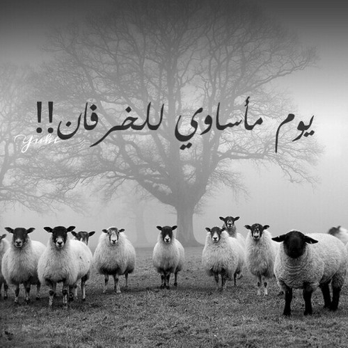 خروف العيد