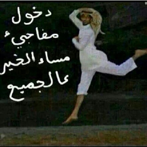 صور مسائية مضحكة - ليدي بيرد