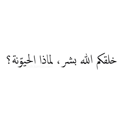 %d8%b5%d9%88%d8%b1-%d9%88%d8%a7%d8%aa%d8%b3-%d8%a7%d8%a8-%d9%85%d8%b6%d8% إعلان%d9%83%d8%a9