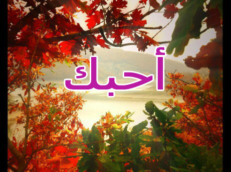 صور كلمة احبك 5