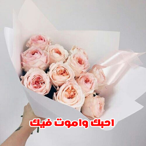 صور أحبك وأموت فيك 9