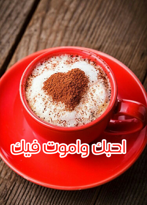 صور أحبك وأموت فيك 3