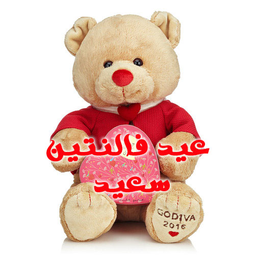 صور عيد الحب 2