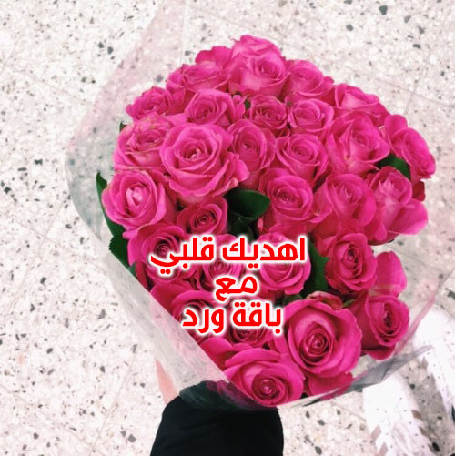 صور عيد الحب 11