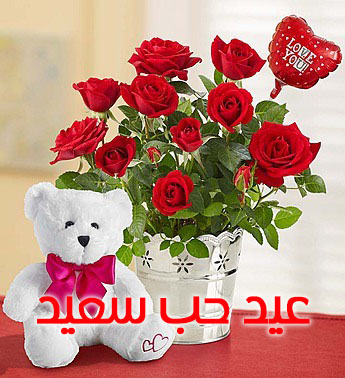 صور عيد الحب 9