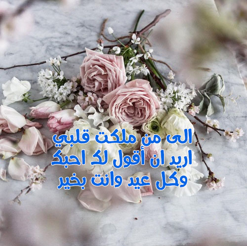 صور ورد لعيد الحب 11