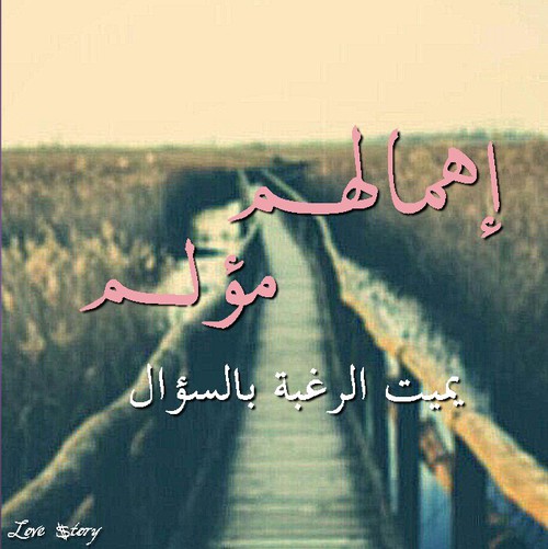 صور الإهمال 15