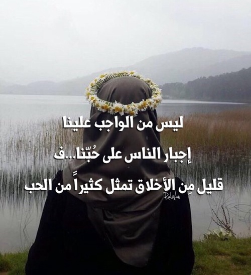 صور برد الحبيب 23