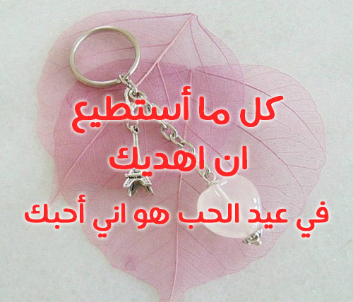 صور عيد الحب 49