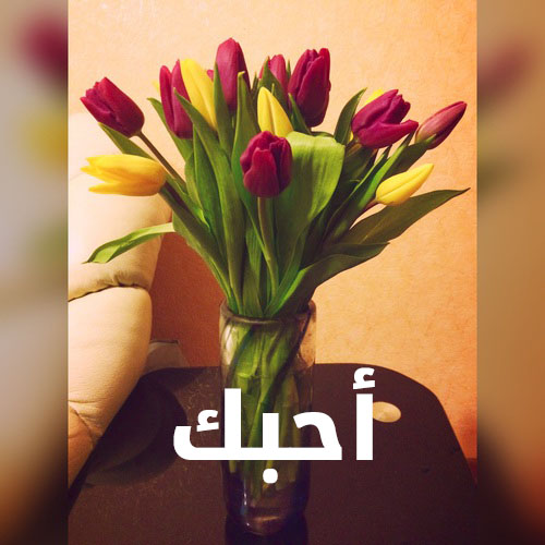 صور ورد عيد الحب 23