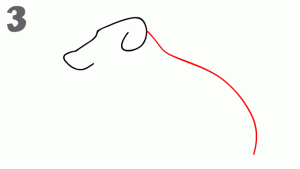 كيف ارسم كلب 4