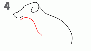 كيف ارسم كلب 5