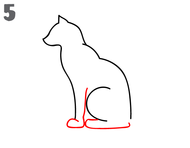 كيف ارسم قطة 6