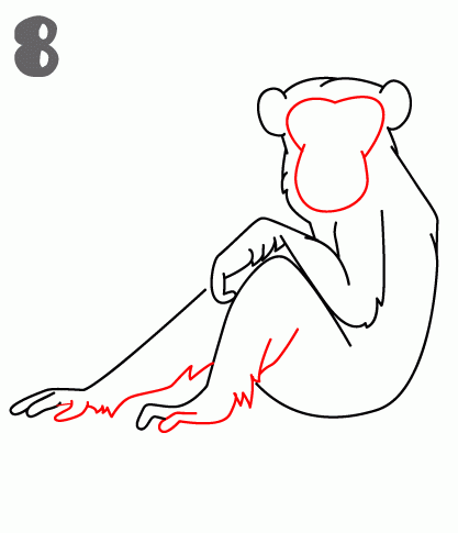 كيف ارسم شمبانزي 9