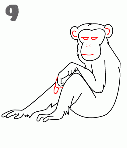 كيف ارسم شمبانزي 10