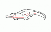 كيف ارسم تمساح 1