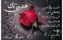 كلمات مدح حبيب 10 كلمات مدح حبيب
