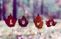 رسائل جريئة للزوج المسافر 13 رسائل جريئة للزوج المسافر