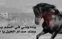 الشعر العربي الجاهلي 1