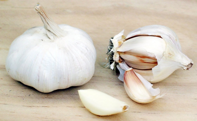 Garlic1