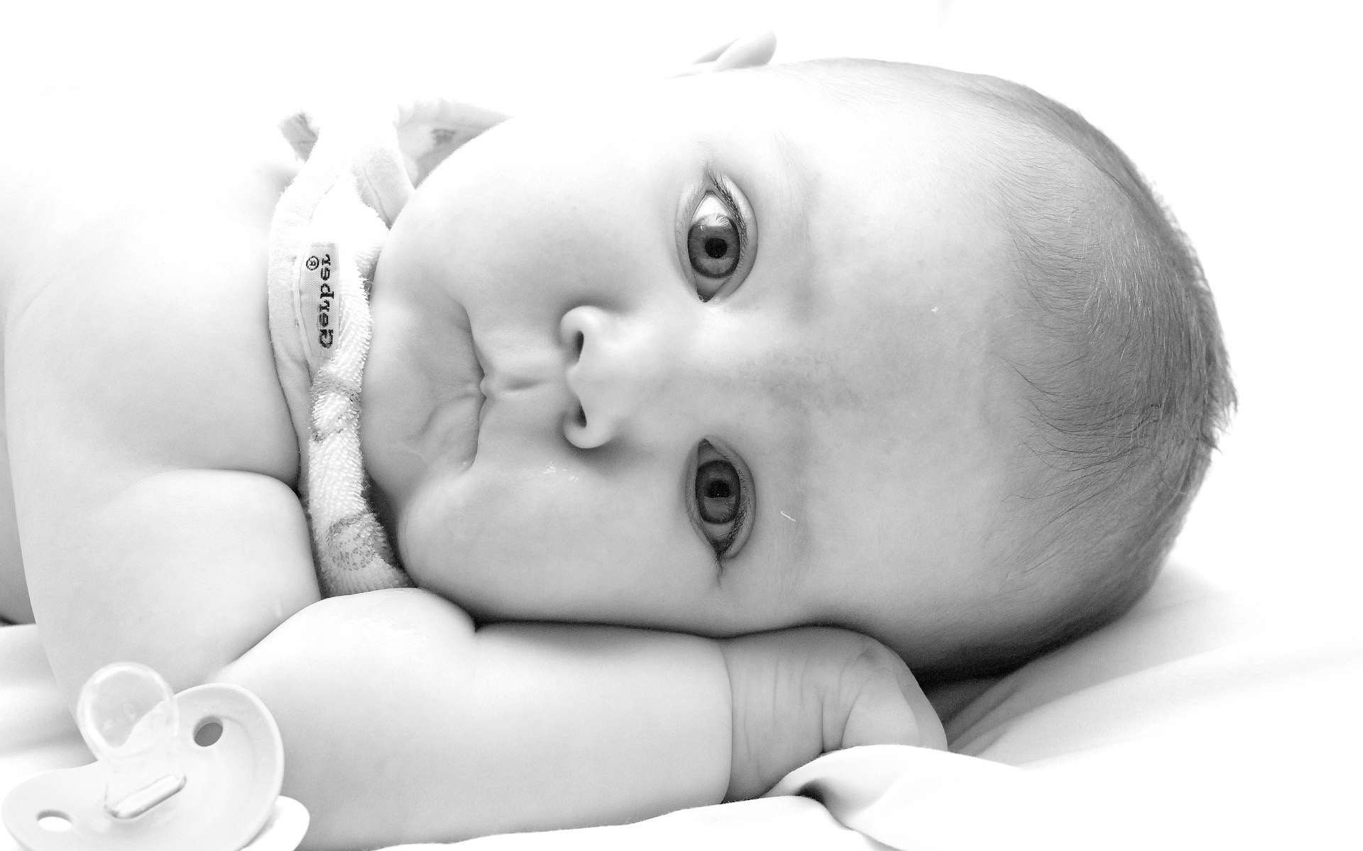 صور خلفيات بيبي ليدي بيرد