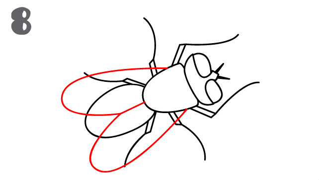 كيف ارسم ذبابة 1