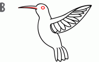 كيف ارسم طائر الطنان 3