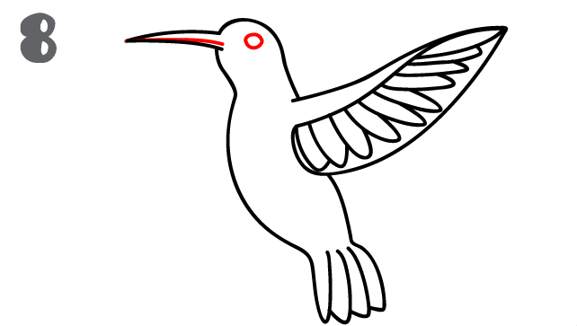 كيف ارسم طائر الطنان 1