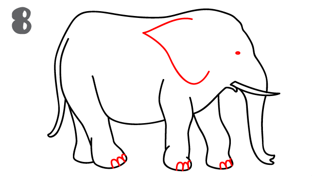 كيف ارسم فيل 1